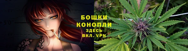 mdpv Арсеньев