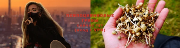mdpv Арсеньев